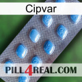 Cipvar viagra3